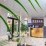 Bliss House