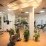 Wellnes Spa More