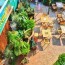 Marrakesh