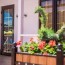 Dacha Del Sol