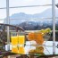 Cristal
