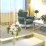 Suite Studio Suite