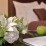 Business suite